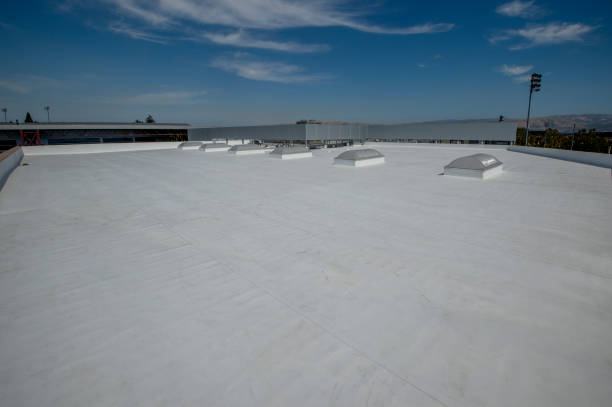 Best 4 Ply Roofing  in Nroe City, MO