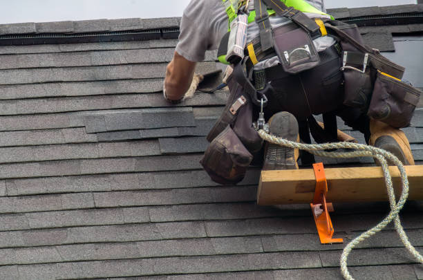 Best Roof Leak Repair  in Nroe City, MO