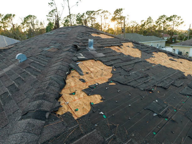 Best Emergency Roof Repair Services  in Nroe City, MO